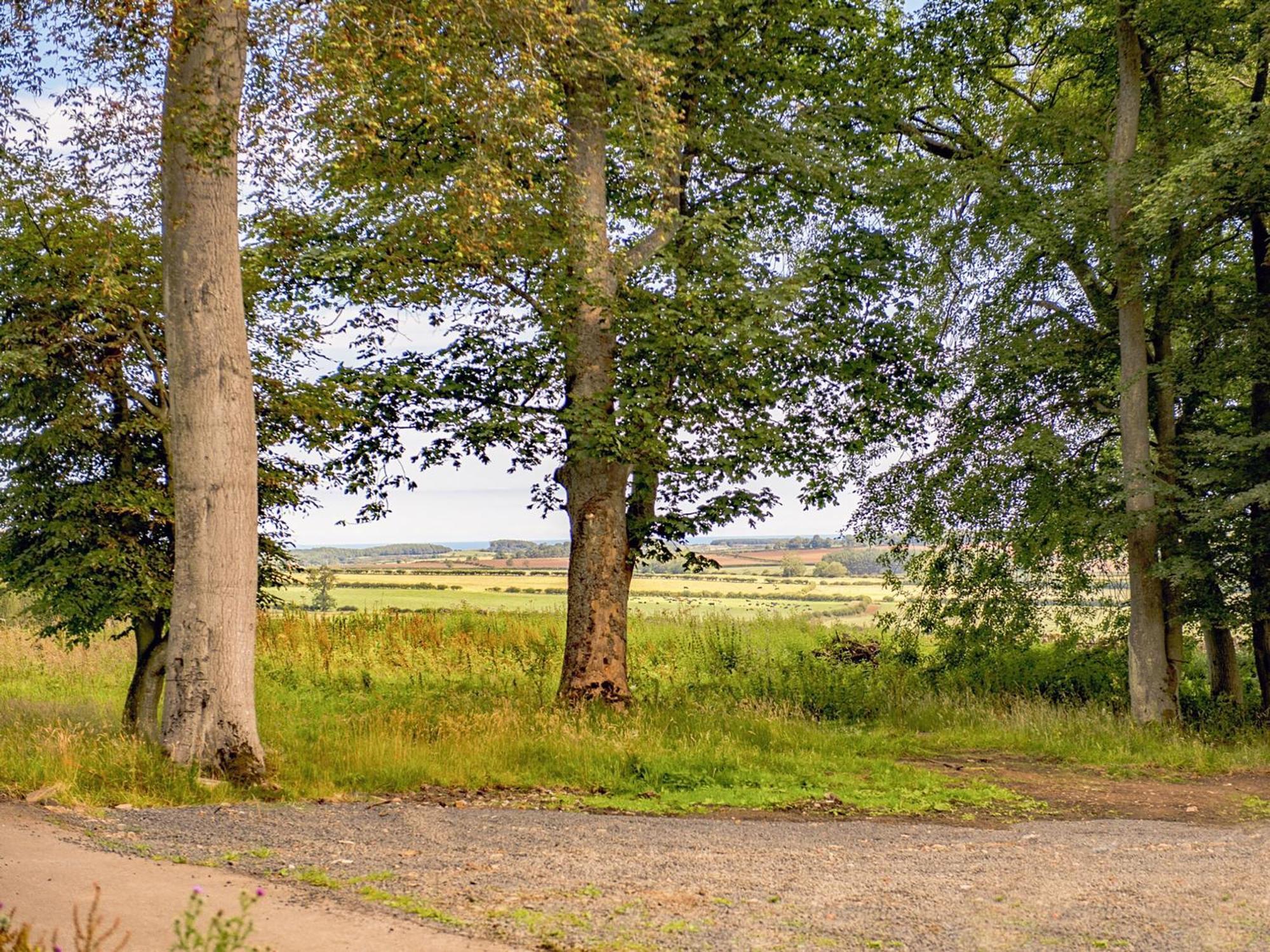 Heckley Stable Cottage Alnwick Dış mekan fotoğraf